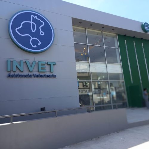 carteles-veterinaria